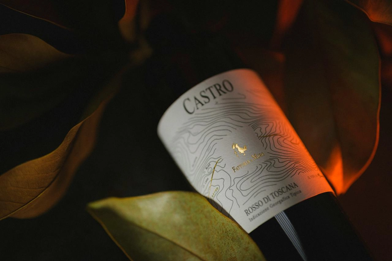 WhatsApp Image 2025-10-22 at 19.30